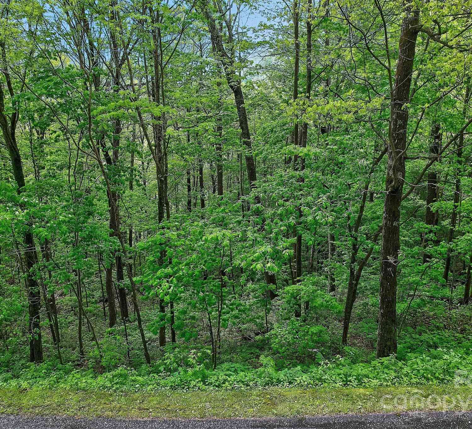 Lot 119 Davey Crockett Drive, Maggie Valley, North Carolina image 7