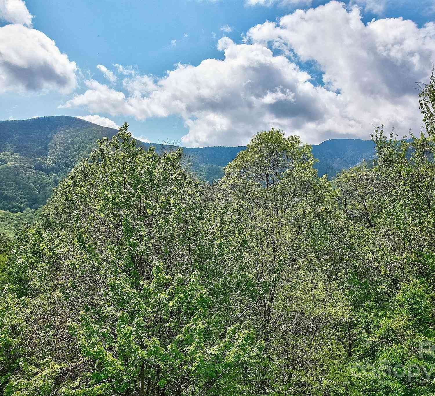 Lot 119 Davey Crockett Drive, Maggie Valley, North Carolina image 2