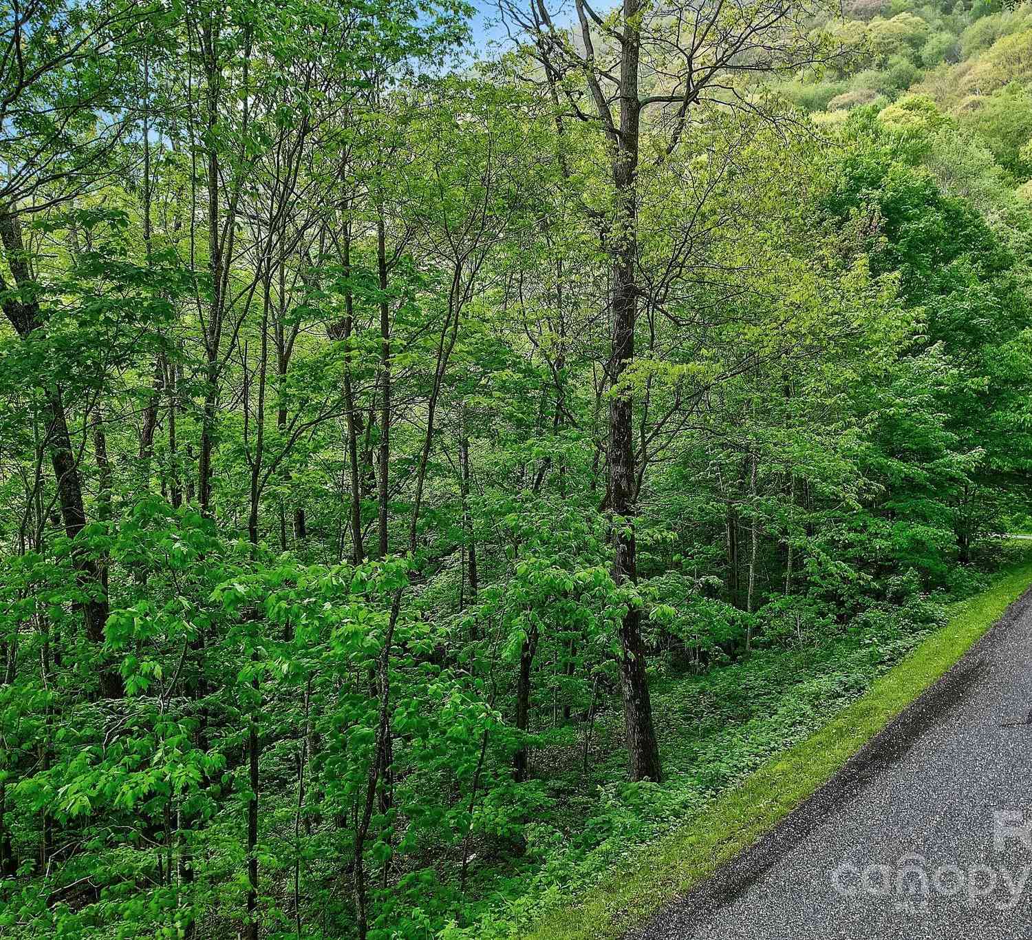 Lot 119 Davey Crockett Drive, Maggie Valley, North Carolina image 6