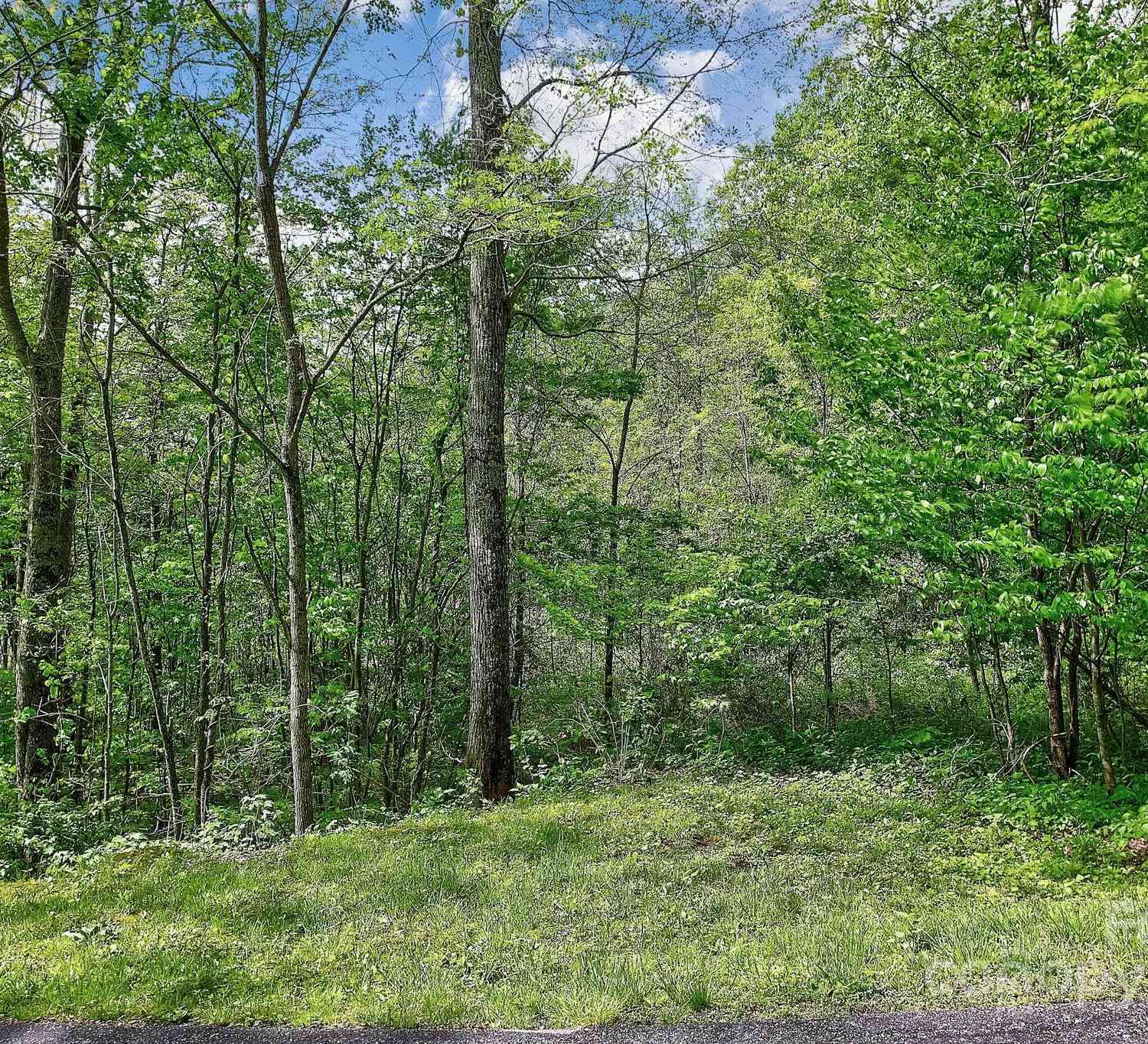 Lot 119 Davey Crockett Drive, Maggie Valley, North Carolina image 3