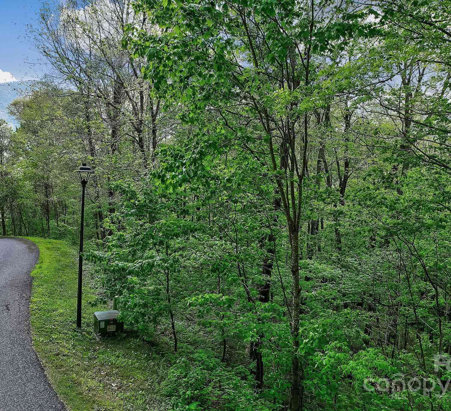 Lot 119 Davey Crockett Drive, Maggie Valley, North Carolina image 9