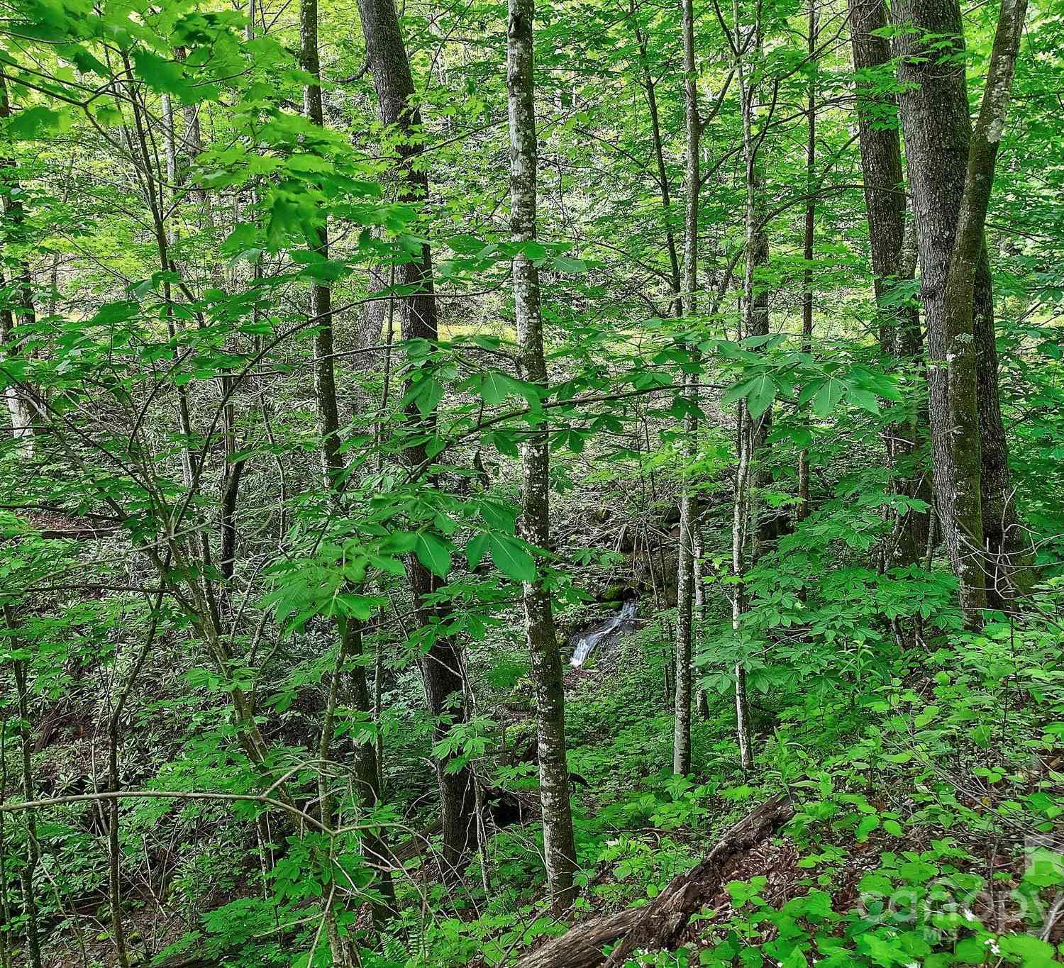 Lot 119 Davey Crockett Drive, Maggie Valley, North Carolina image 8