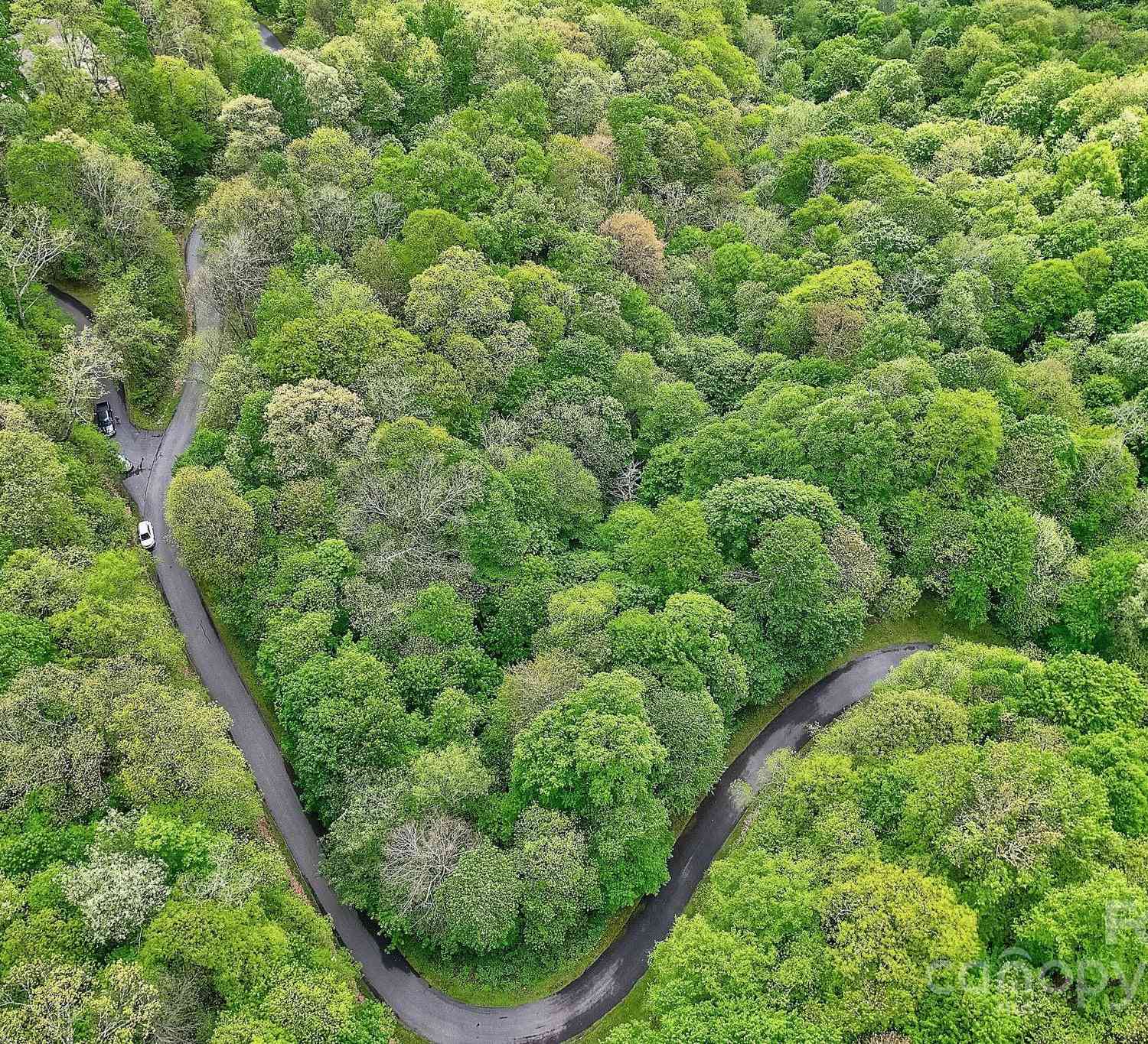 Lot 119 Davey Crockett Drive, Maggie Valley, North Carolina image 13