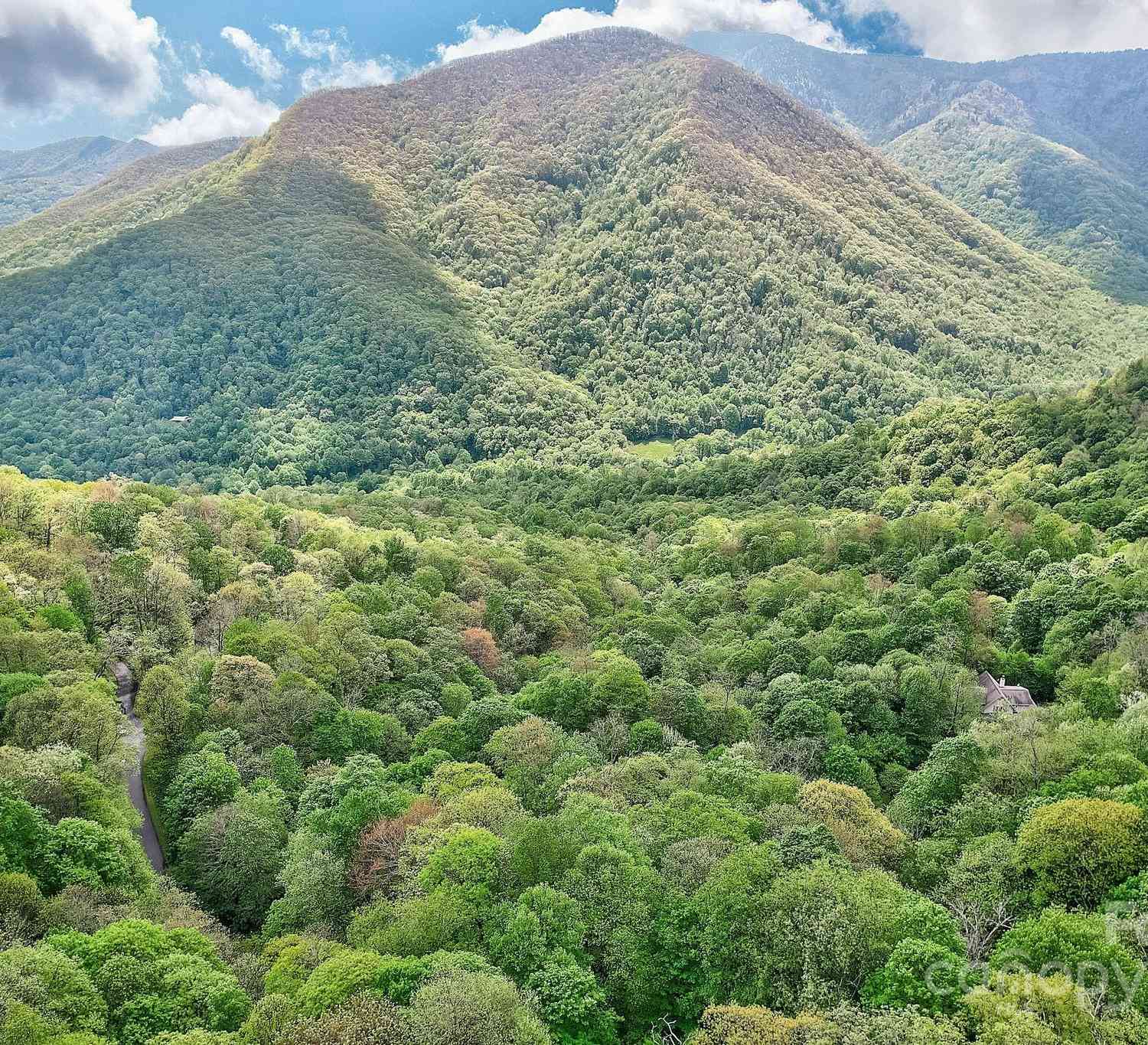 Lot 119 Davey Crockett Drive, Maggie Valley, North Carolina image 15