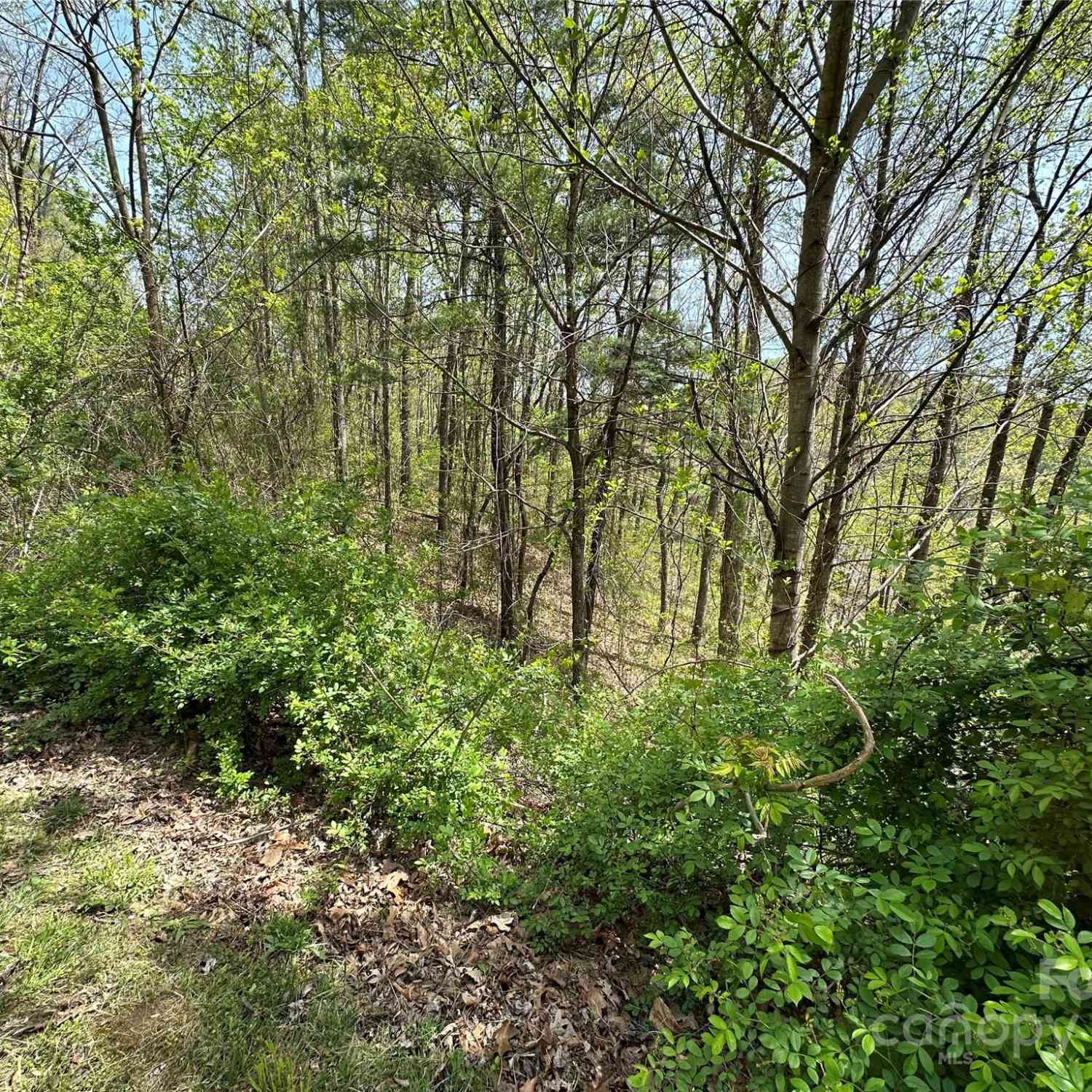 15 Waxwing Way #15, Asheville, North Carolina image 9