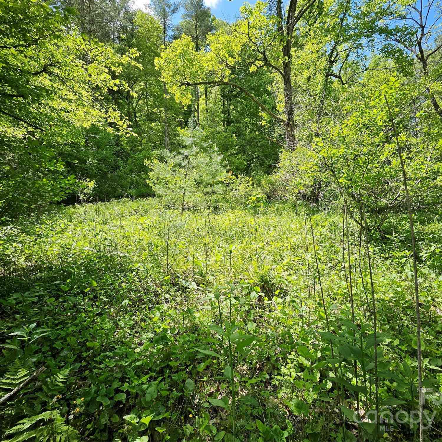 000 Bald Mountain Road, Burnsville, North Carolina image 31