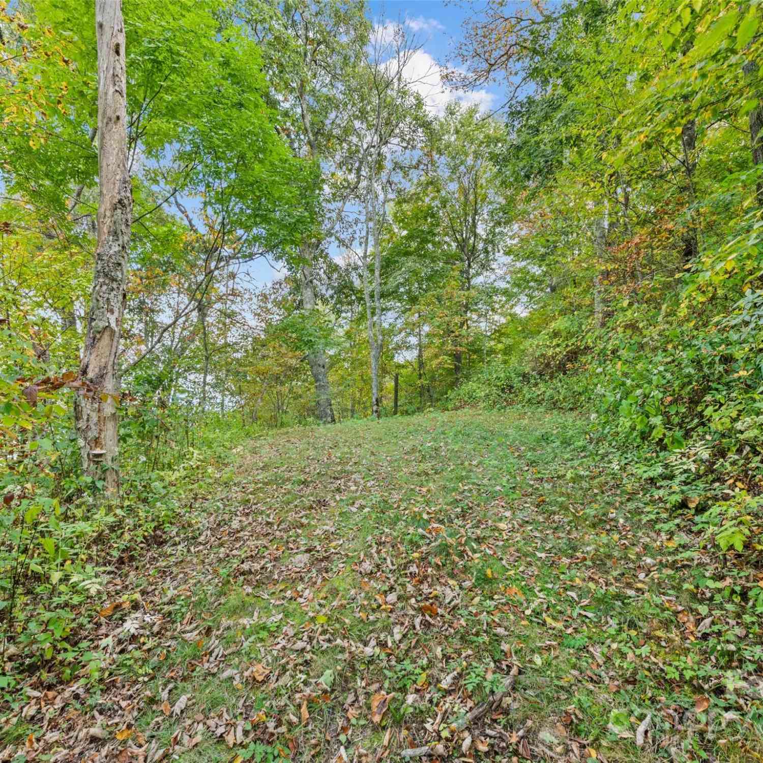 Lot E17 Adela Trail #E-17, Maggie Valley, North Carolina image 3