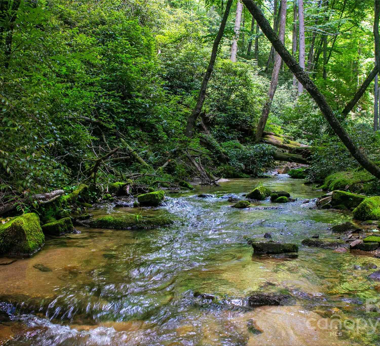 4277 Pickens Highway, Rosman, North Carolina image 6