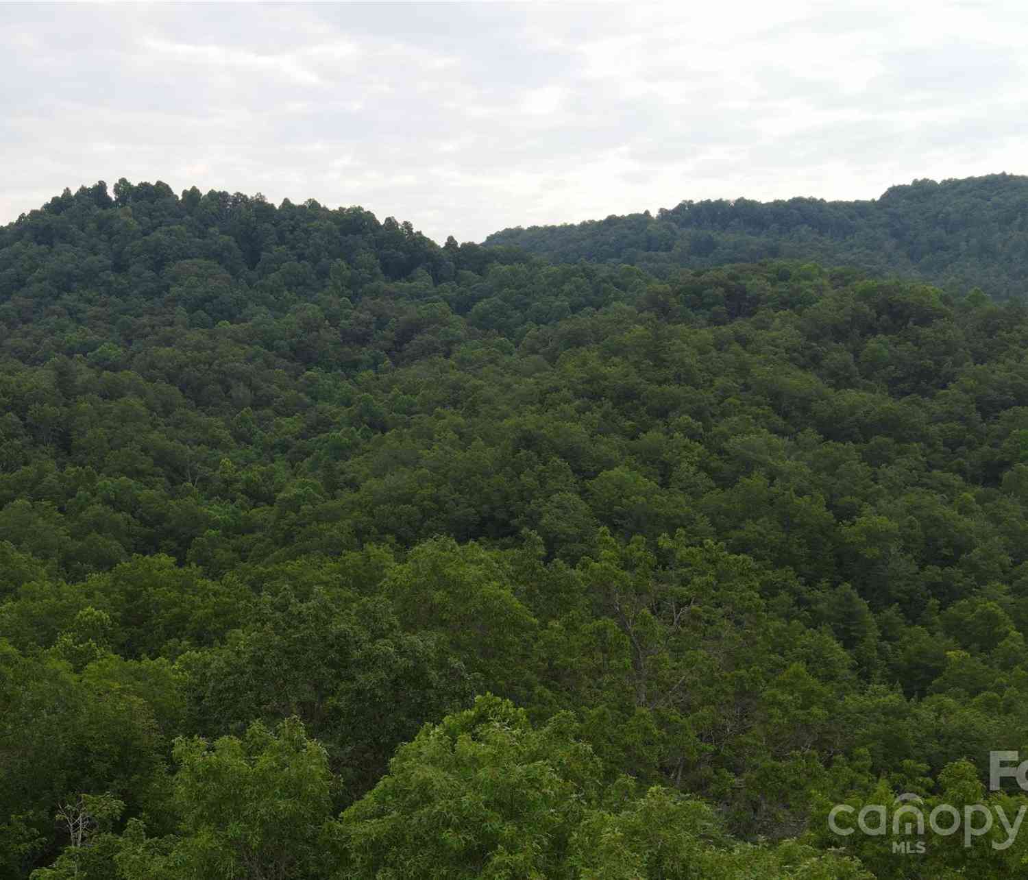 4277 Pickens Highway, Rosman, North Carolina image 23