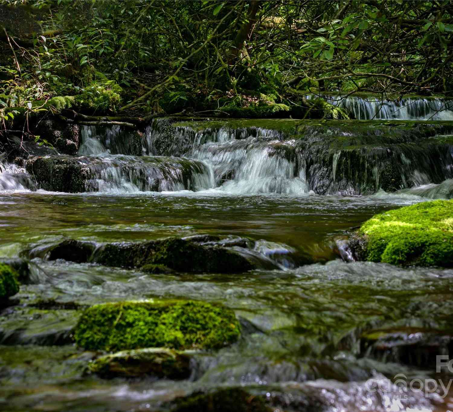 4277 Pickens Highway, Rosman, North Carolina image 3