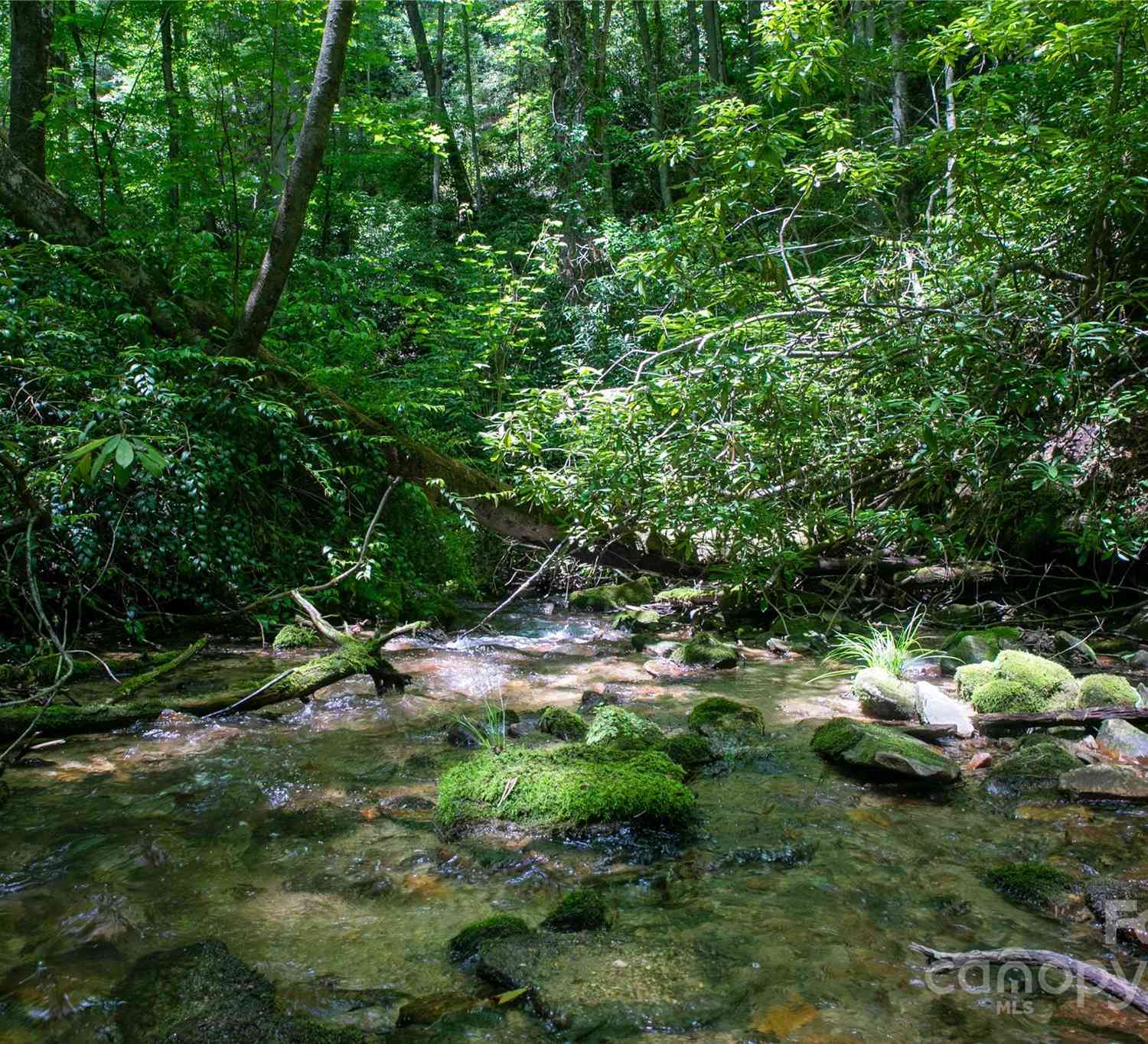 4277 Pickens Highway, Rosman, North Carolina image 7