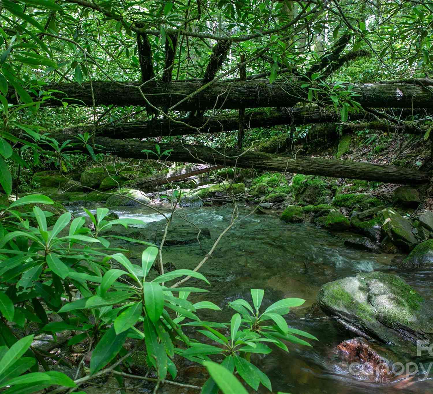 4277 Pickens Highway, Rosman, North Carolina image 9