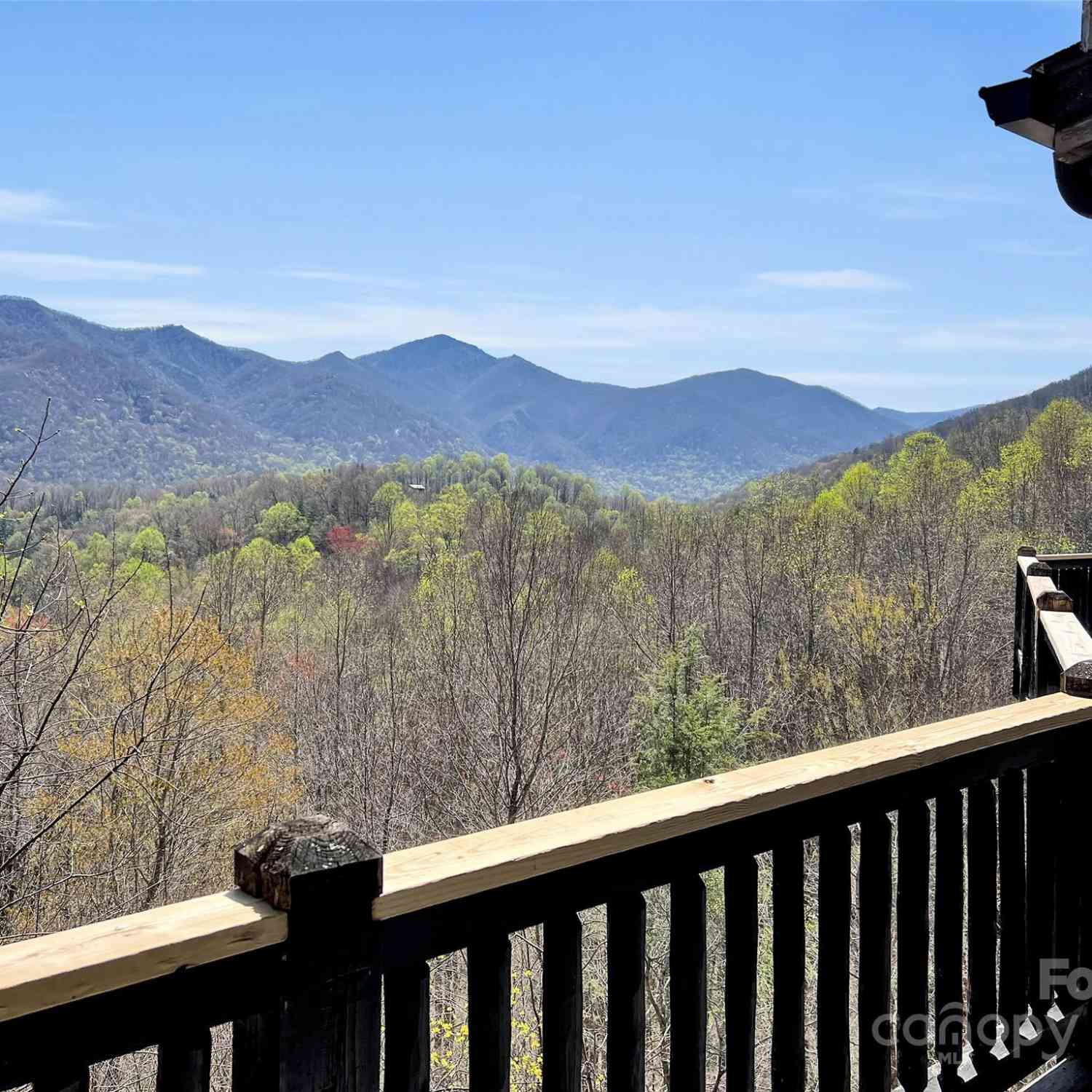 149 Trout Lily Lane, Maggie Valley, North Carolina image 40