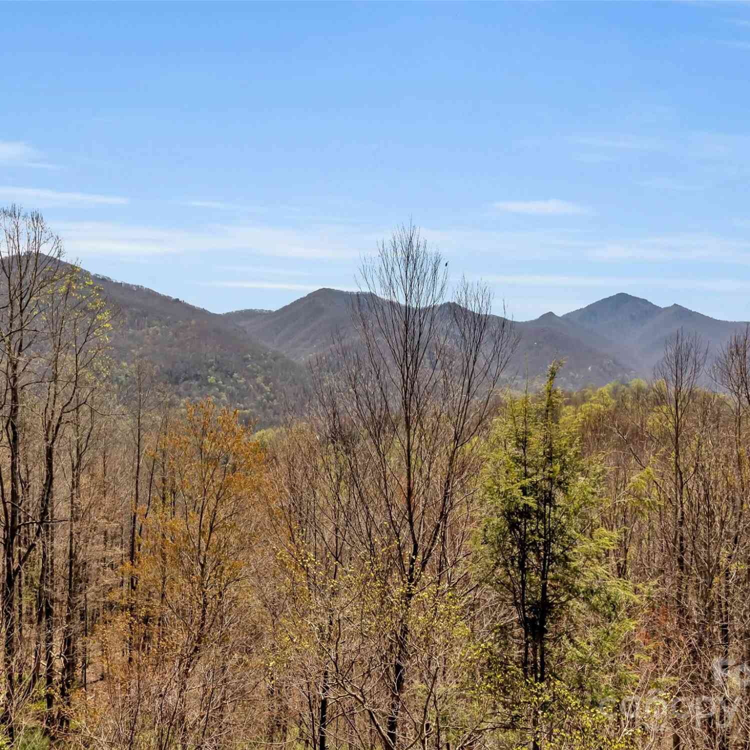 149 Trout Lily Lane, Maggie Valley, North Carolina image 41