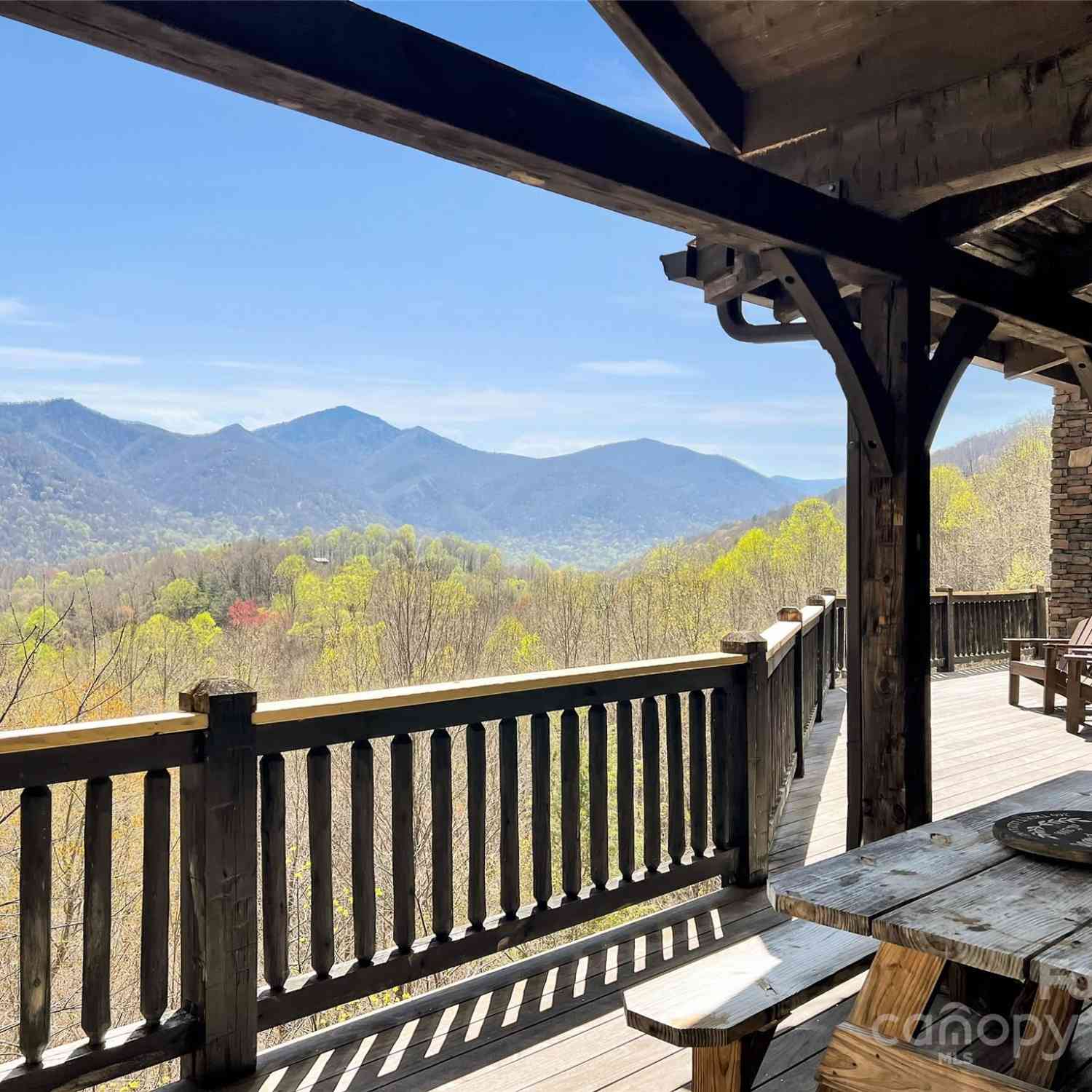 149 Trout Lily Lane, Maggie Valley, North Carolina image 42