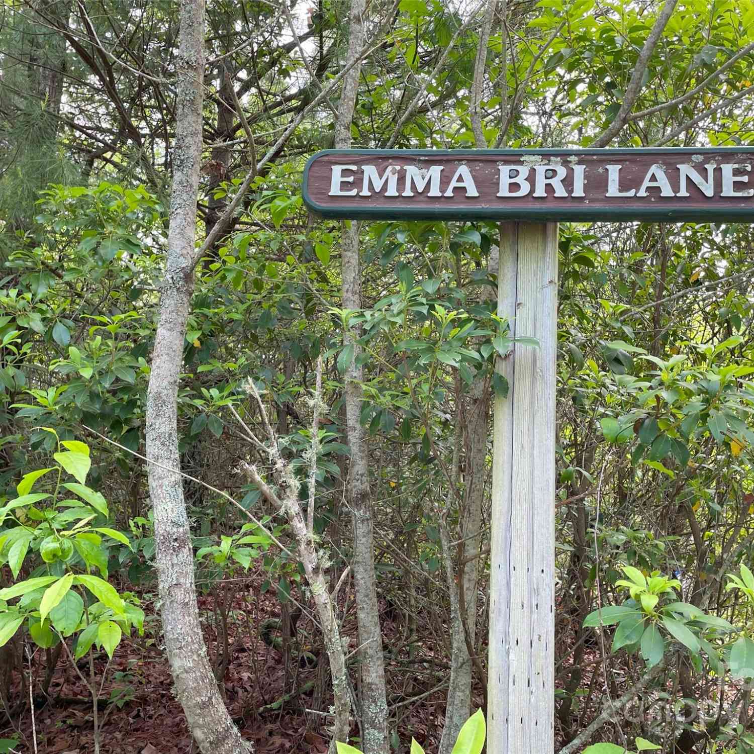 72 Emma Bri Lane, Penrose, North Carolina image 6