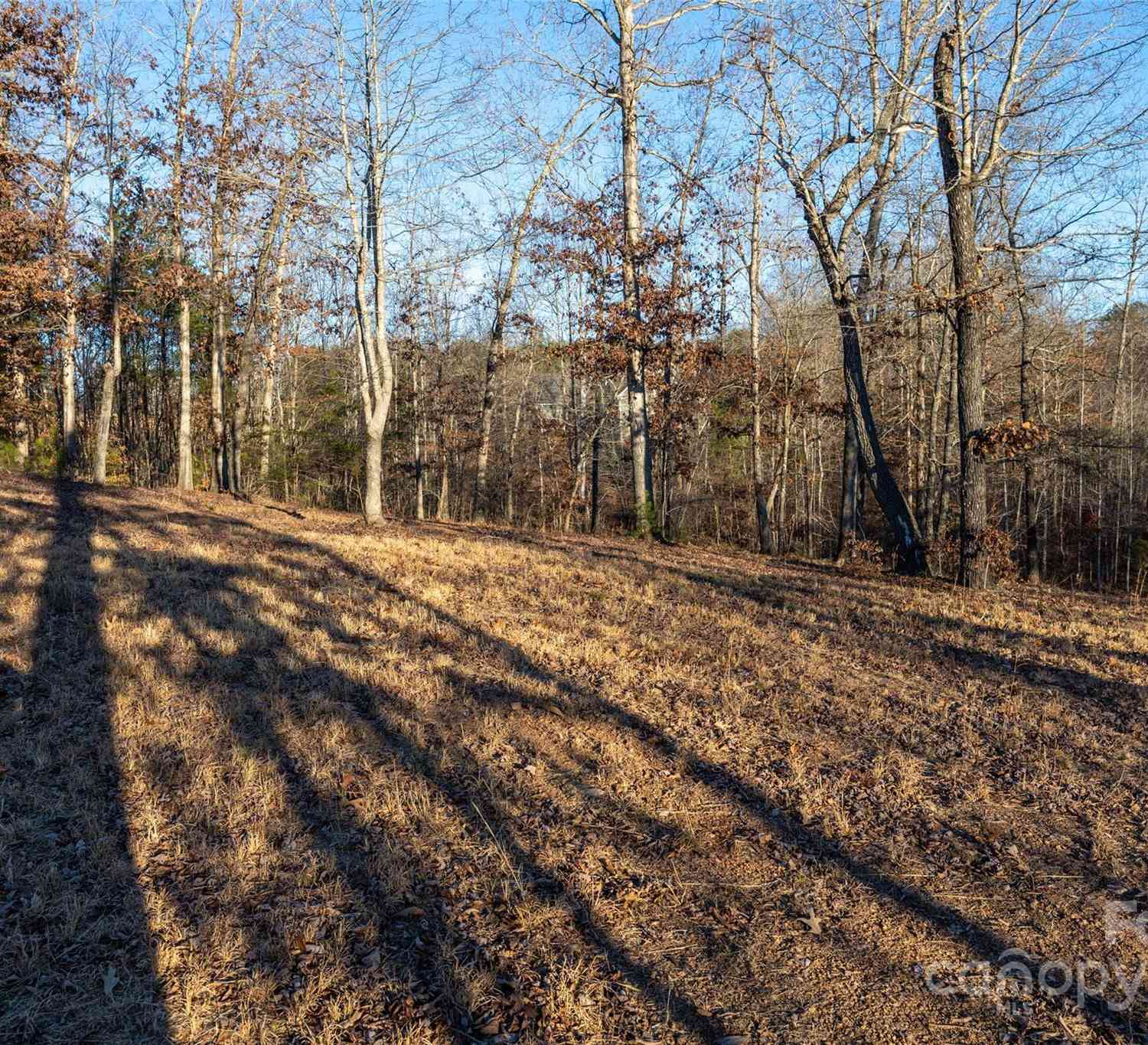 0000 Baber Forest Drive #11, Rutherfordton, North Carolina image 9