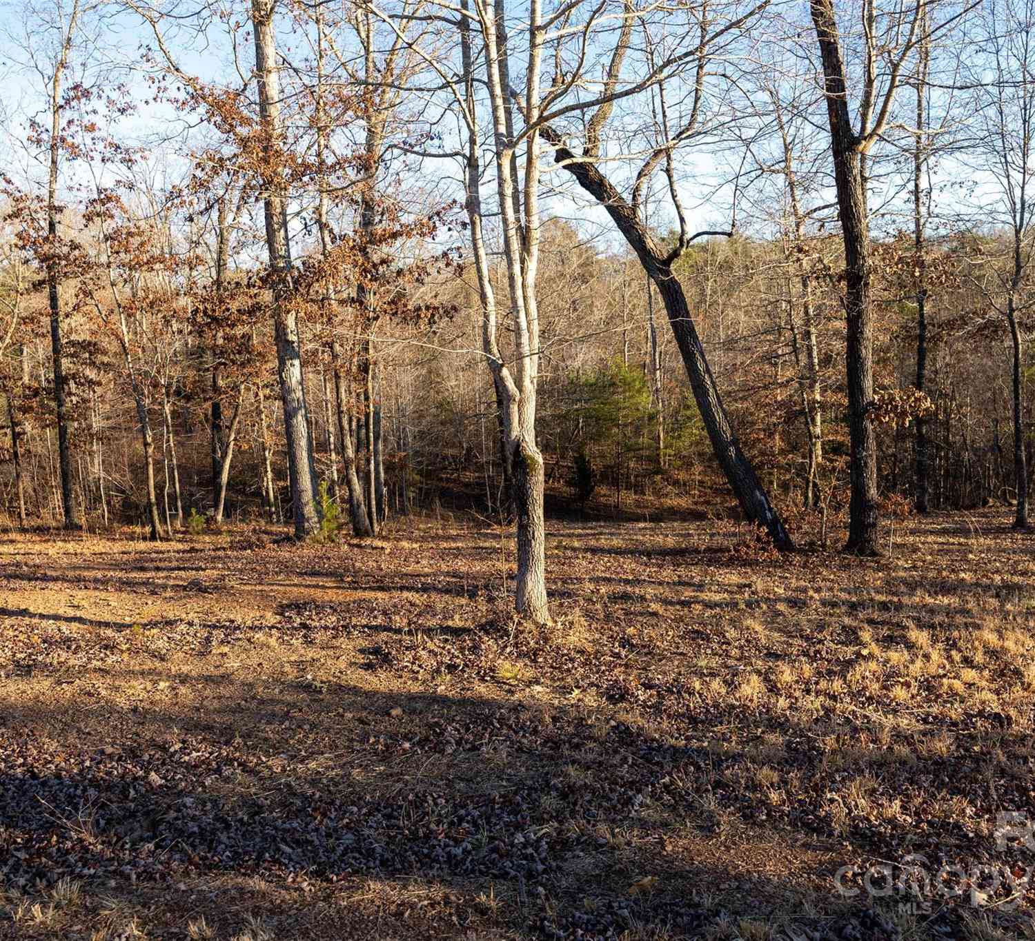 0000 Baber Forest Drive #11, Rutherfordton, North Carolina image 5