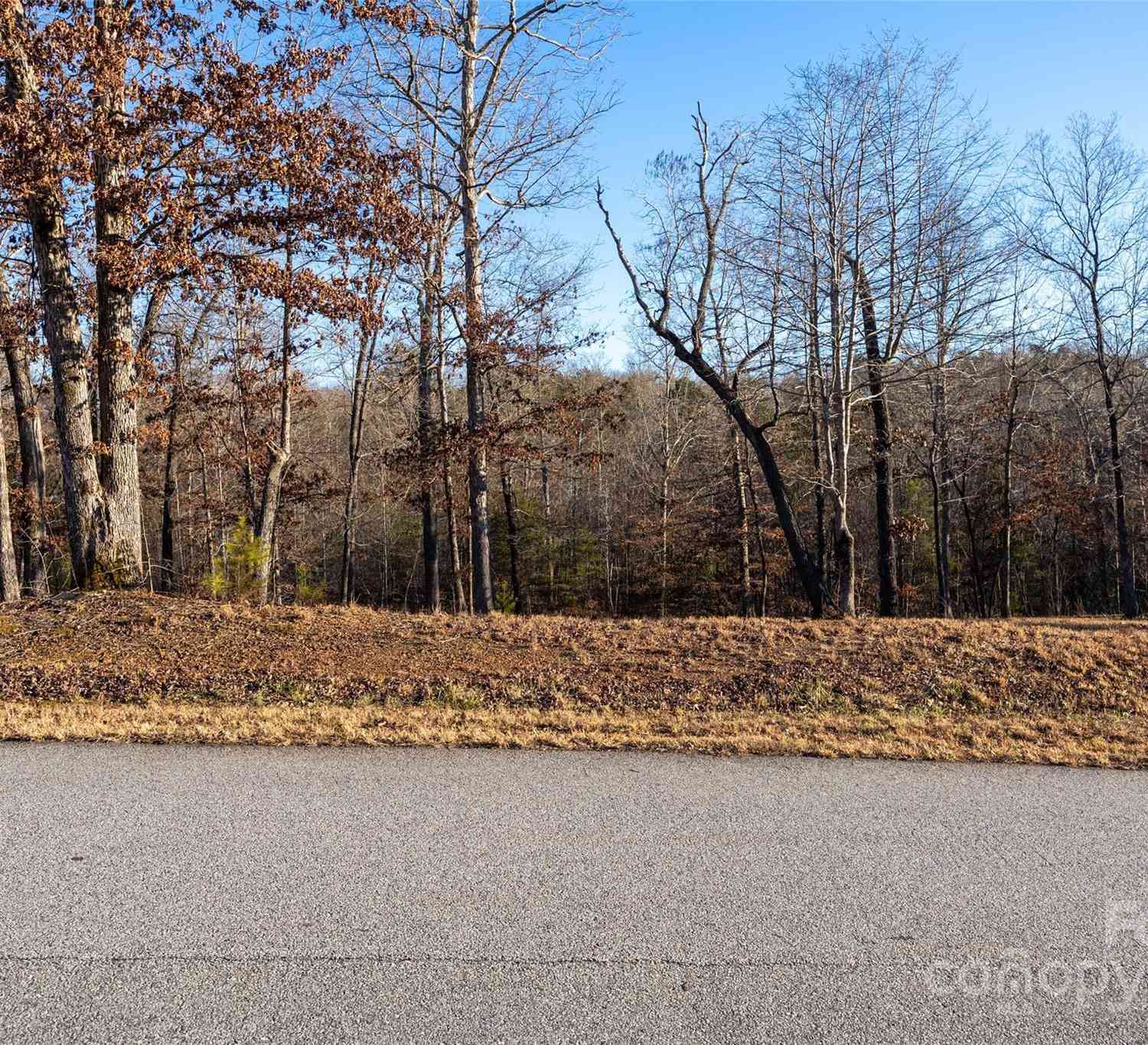 0000 Baber Forest Drive #11, Rutherfordton, North Carolina image 7