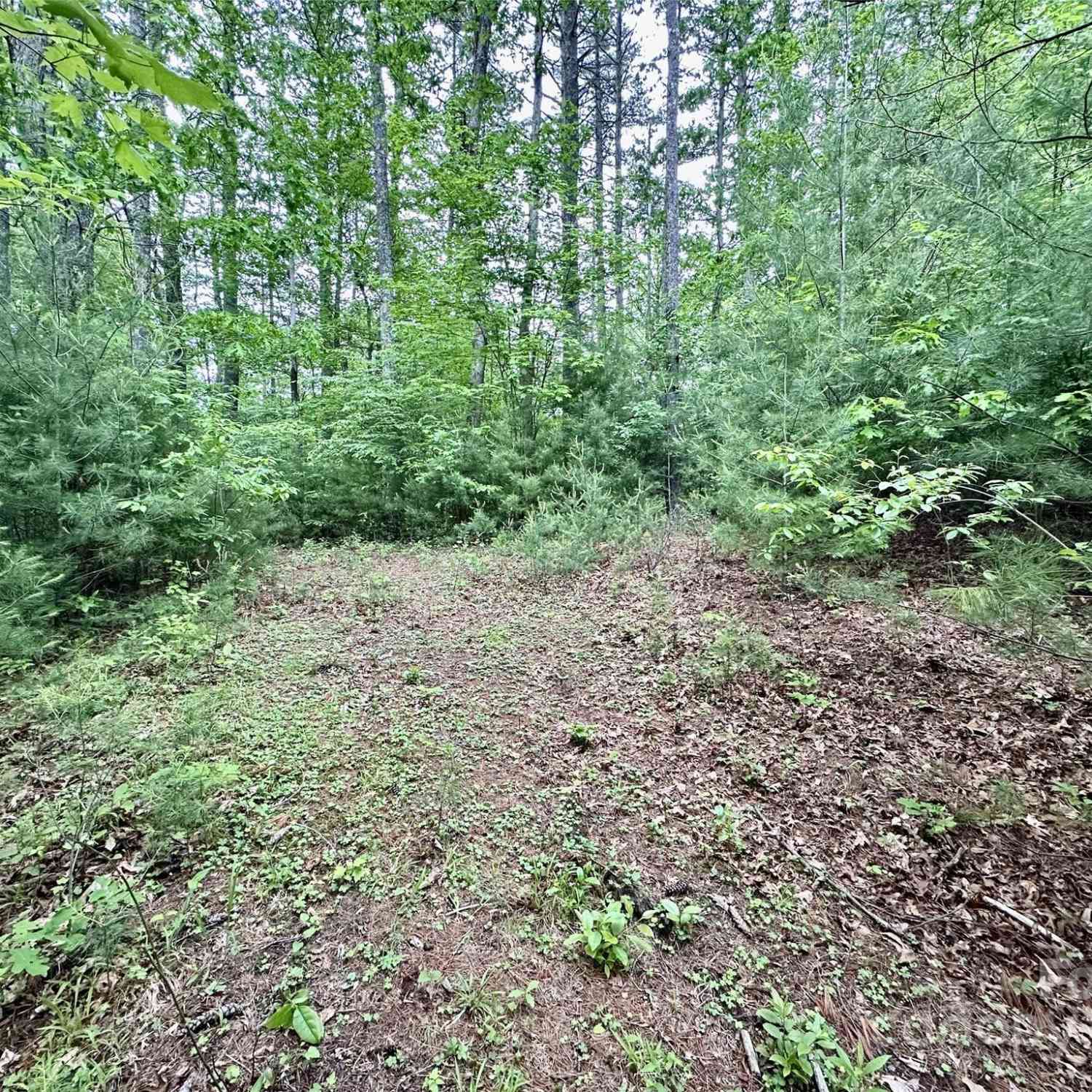 Lot 11 Wildlife Drive, Clyde, North Carolina image 4