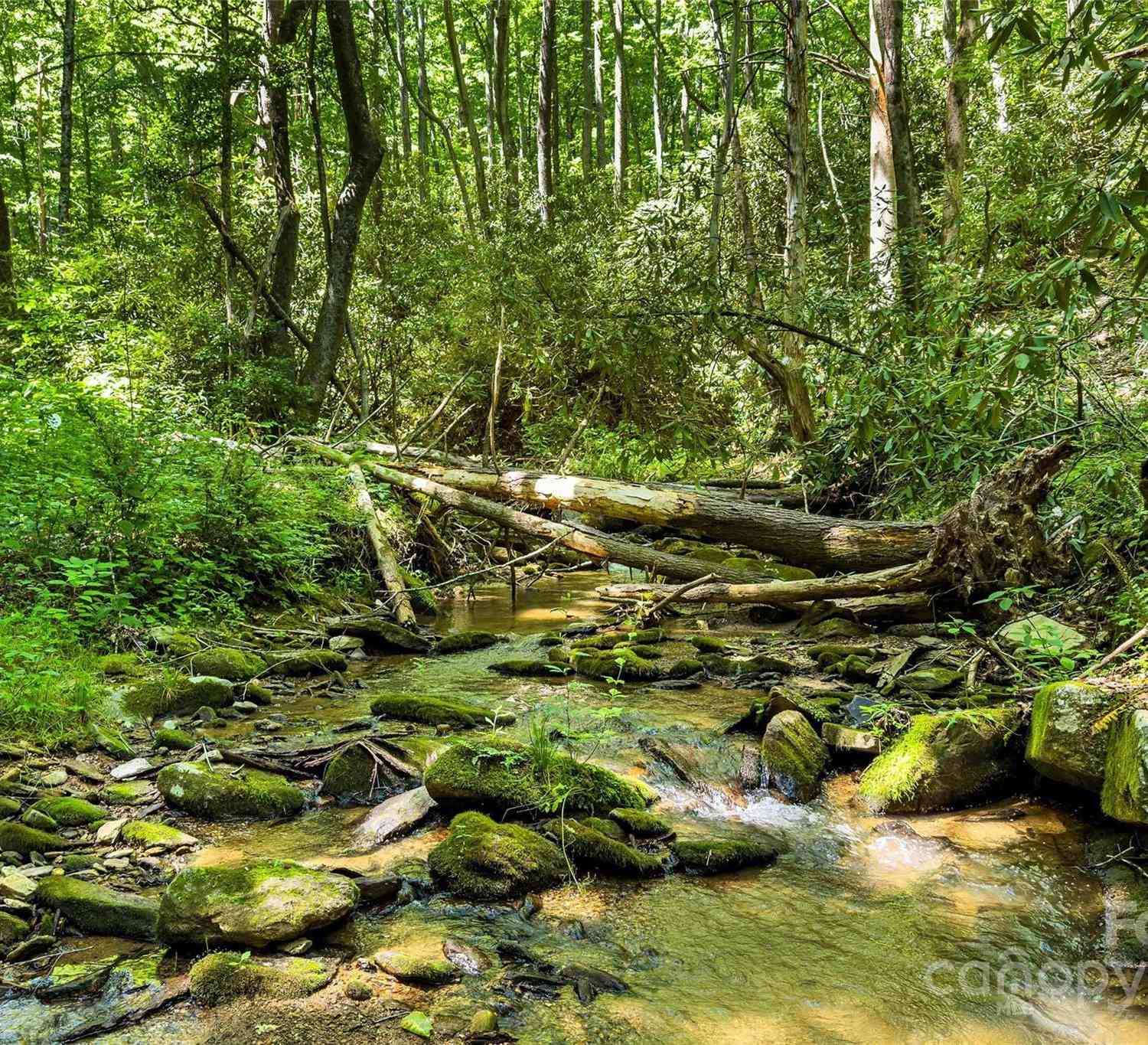 000 Mt Hebron Road, Old Fort, North Carolina image 17