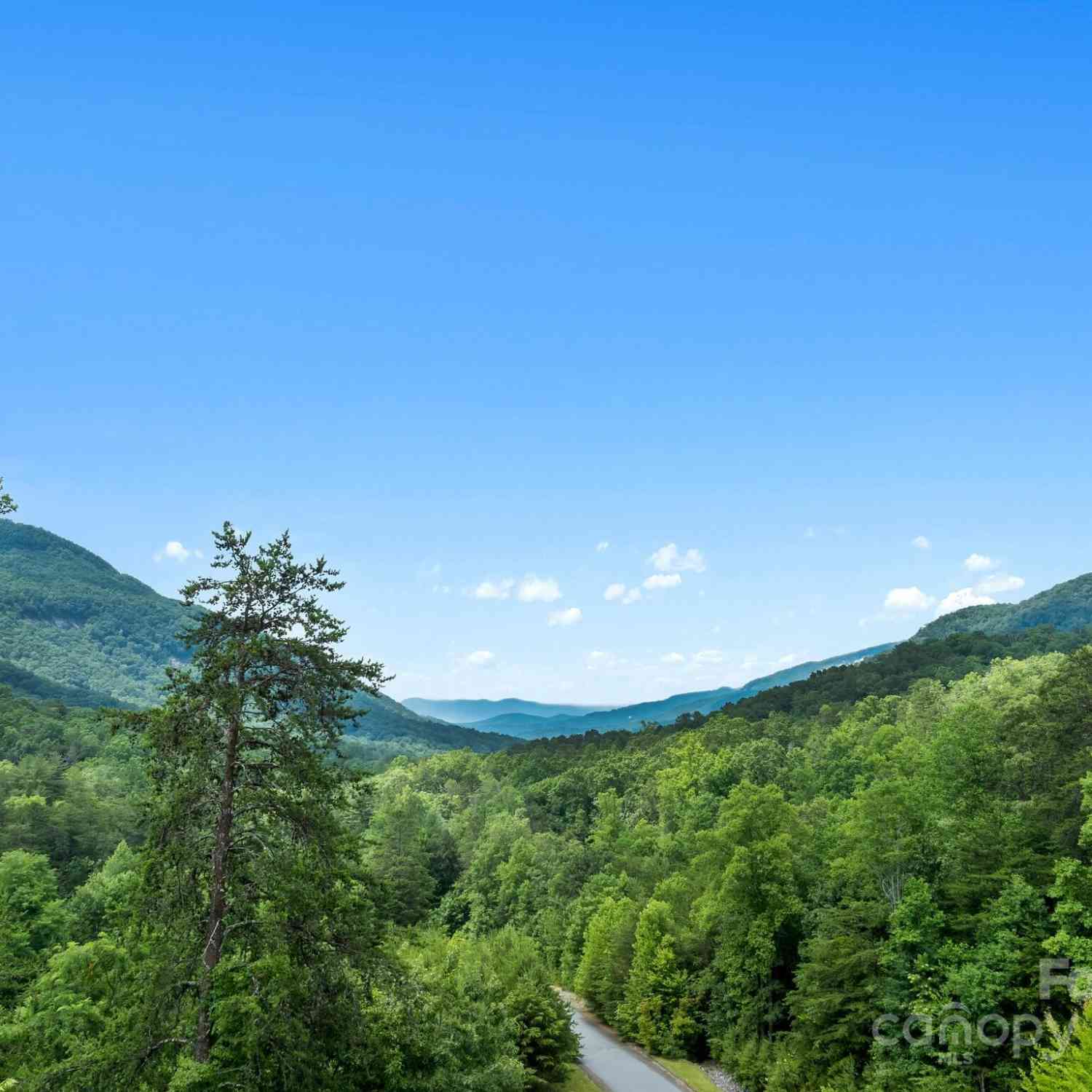 Bison Meadows #270, Lake Lure, North Carolina image 3