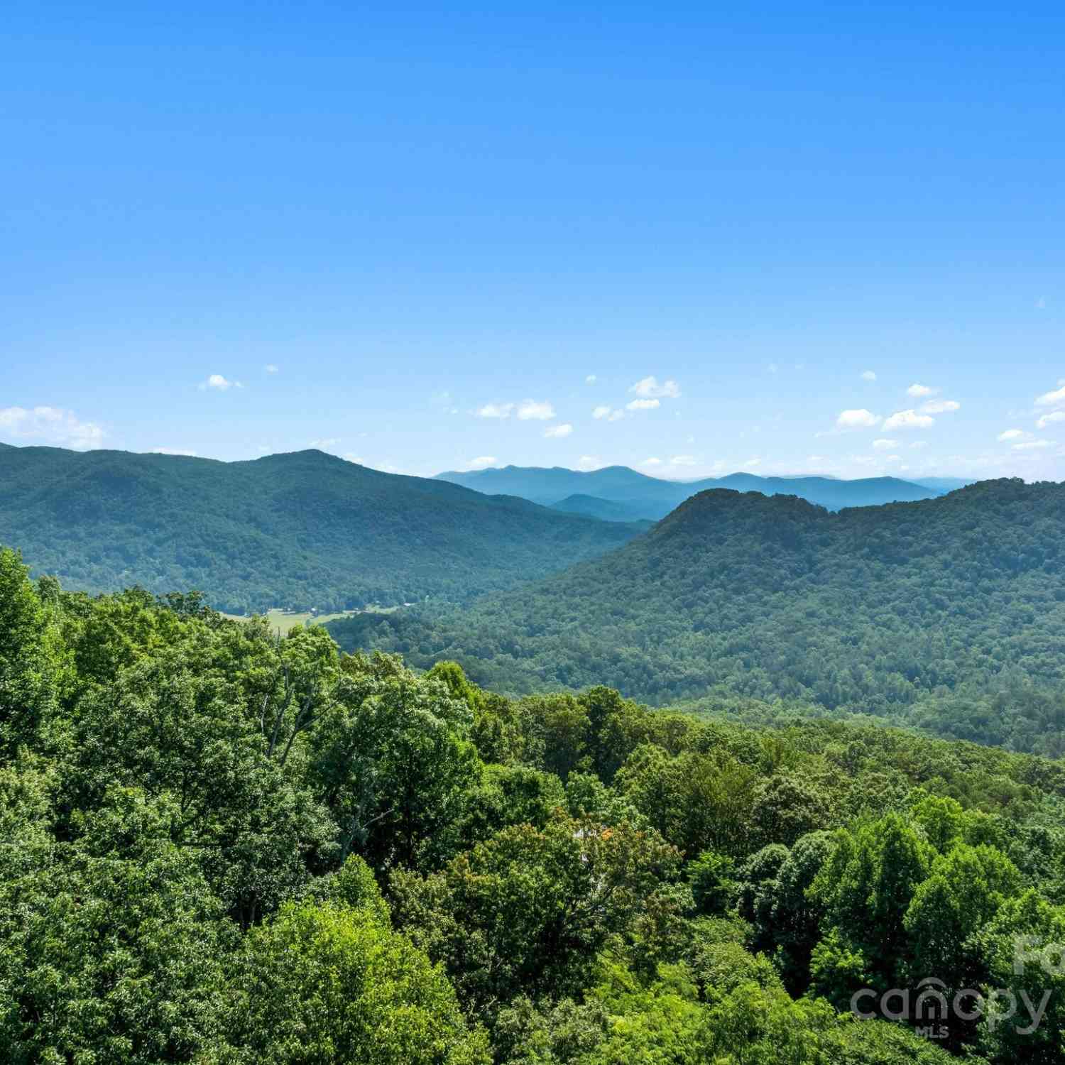 Bison Meadows #270, Lake Lure, North Carolina image 6