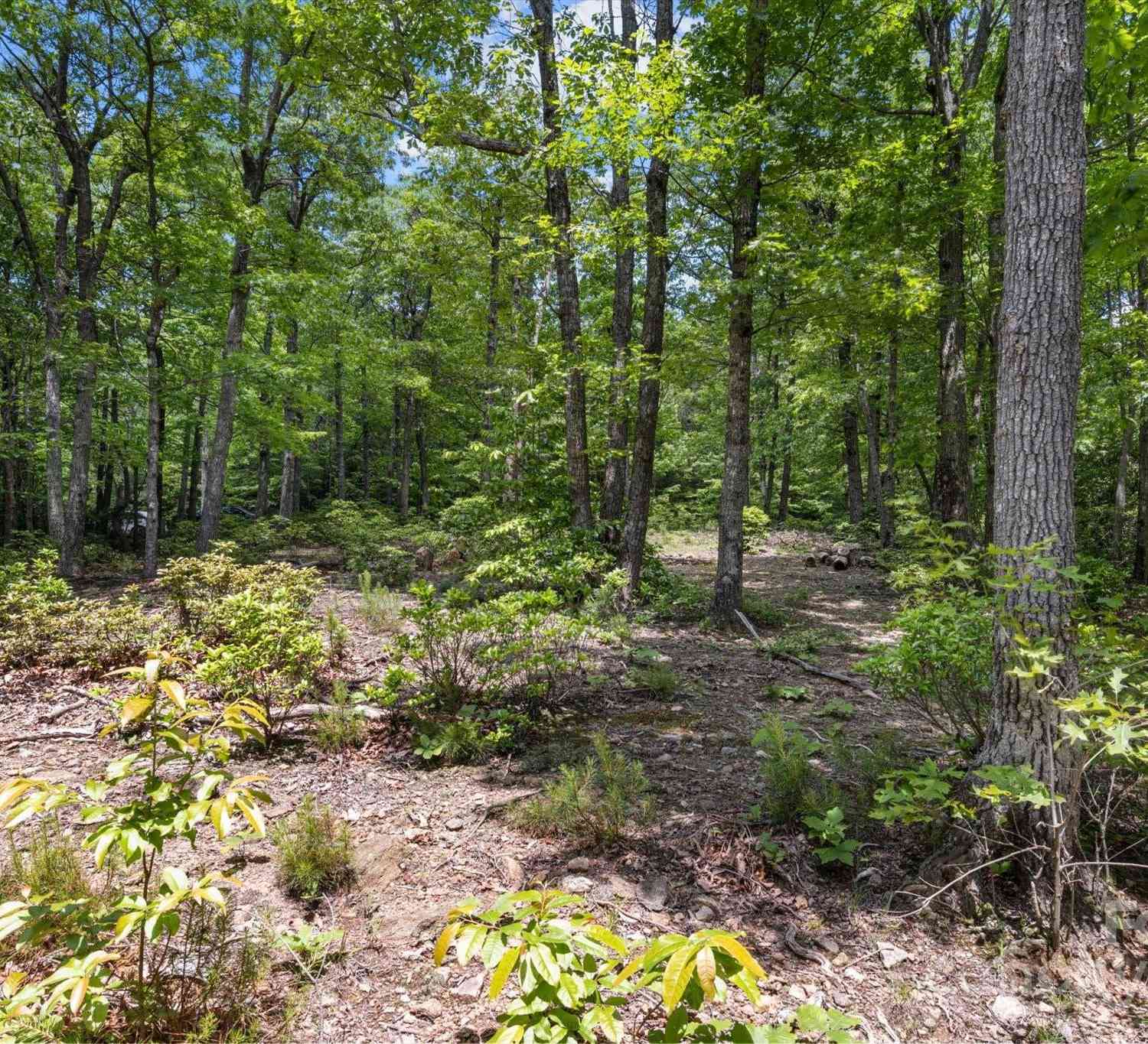 99999 Arrowhead Trail #80, Columbus, North Carolina image 9