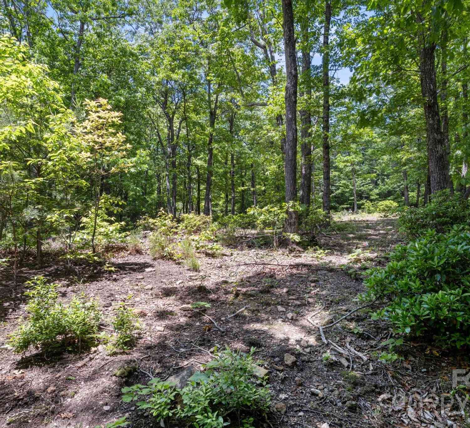 99999 Arrowhead Trail #80, Columbus, North Carolina image 8