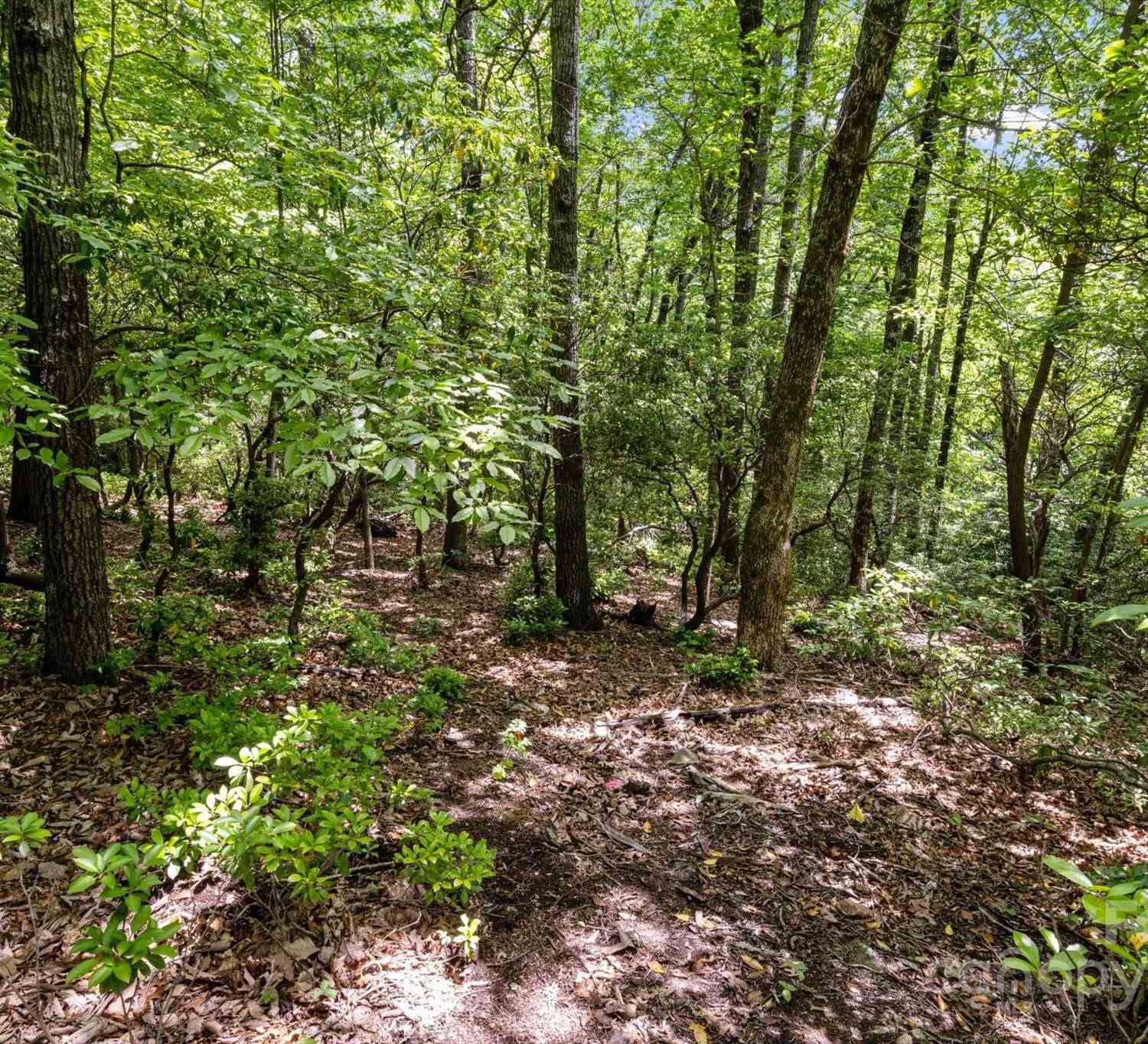 99999 Arrowhead Trail #80, Columbus, North Carolina image 7