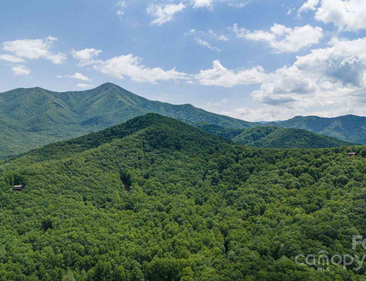 95 Treetops Drive, Candler, North Carolina image 14