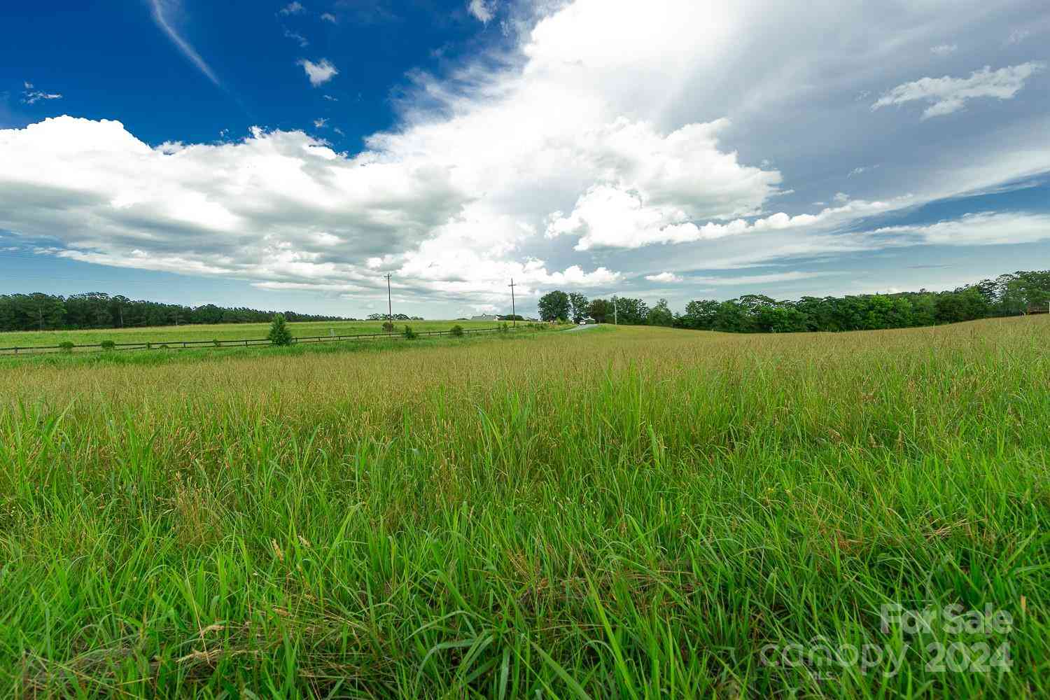 Morningstar Lake Road, Forest City, North Carolina image 1