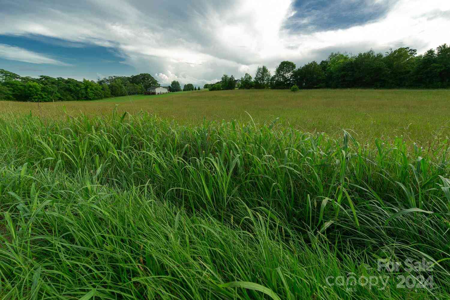 Morningstar Lake Road, Forest City, North Carolina image 7