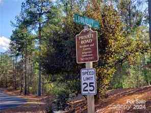 00 Loblolly Lane #23, Mill Spring, North Carolina image 3