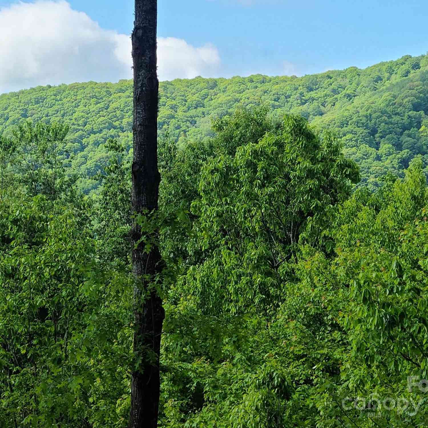 00 Rising Sun Lane #338, Waynesville, North Carolina image 3