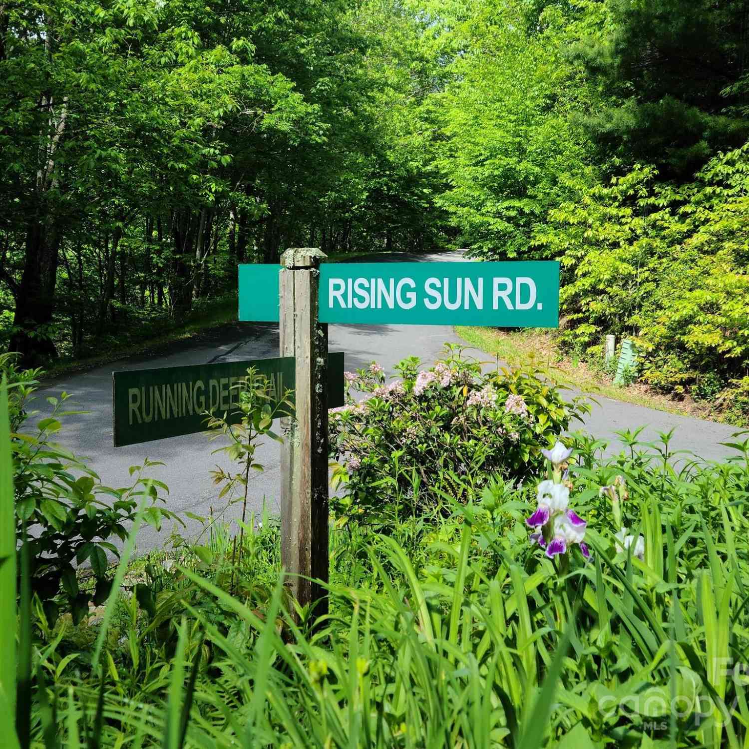 00 Rising Sun Lane #338, Waynesville, North Carolina image 11