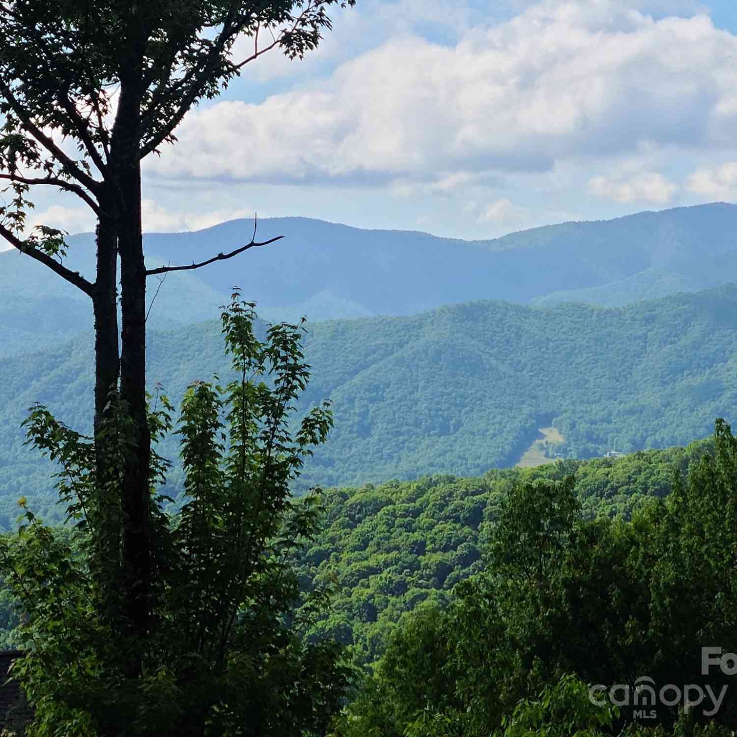 00 Rising Sun Lane #338, Waynesville, North Carolina image 2