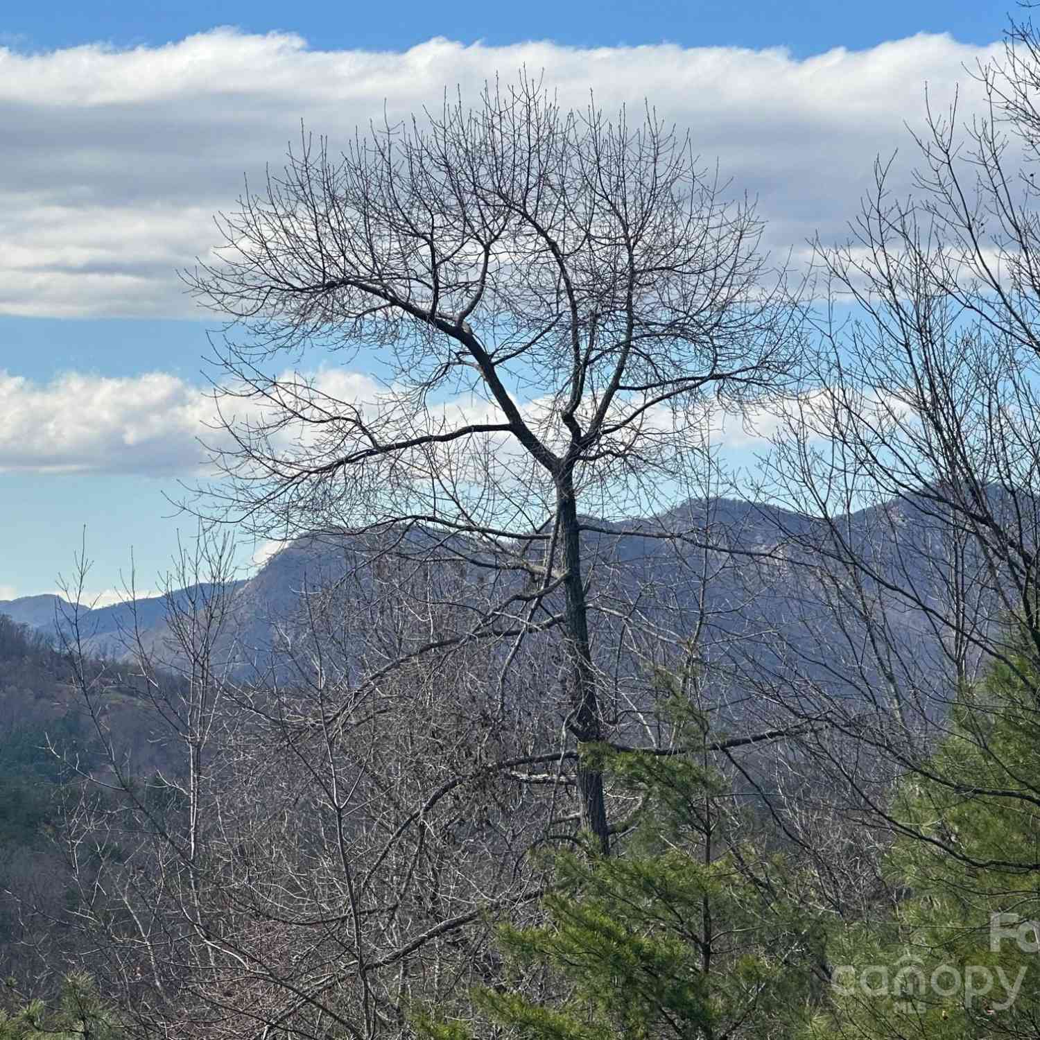 0000 Boulder Ridge, Lake Lure, North Carolina image 8