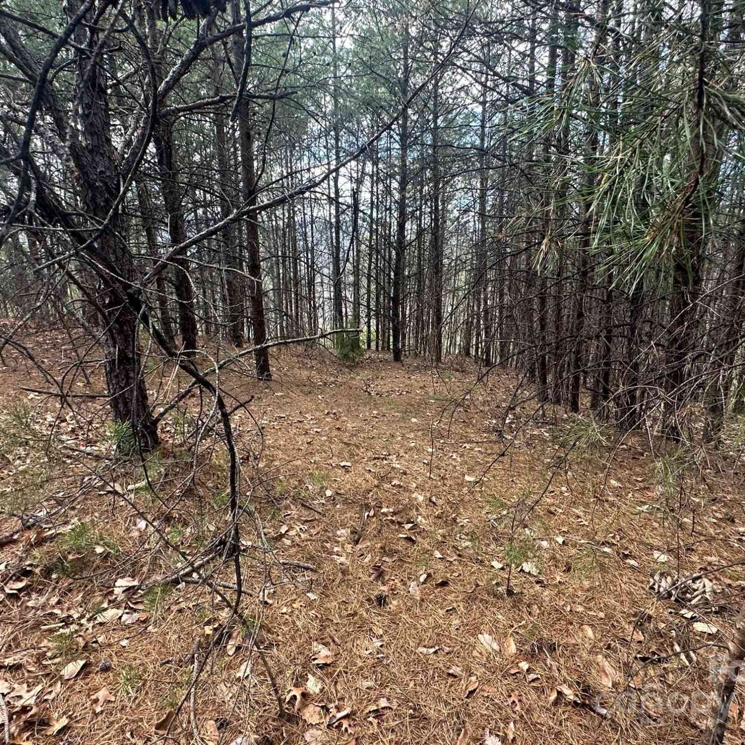 0000 Boulder Ridge, Lake Lure, North Carolina image 5