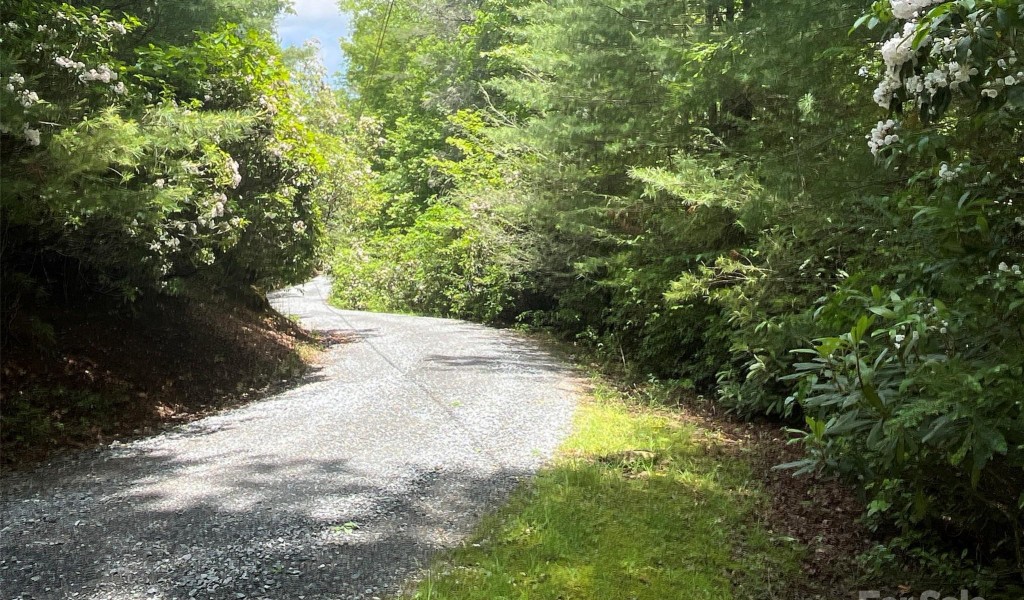 999 Hickory Hollow Road, Lake Toxaway, North Carolina image 4