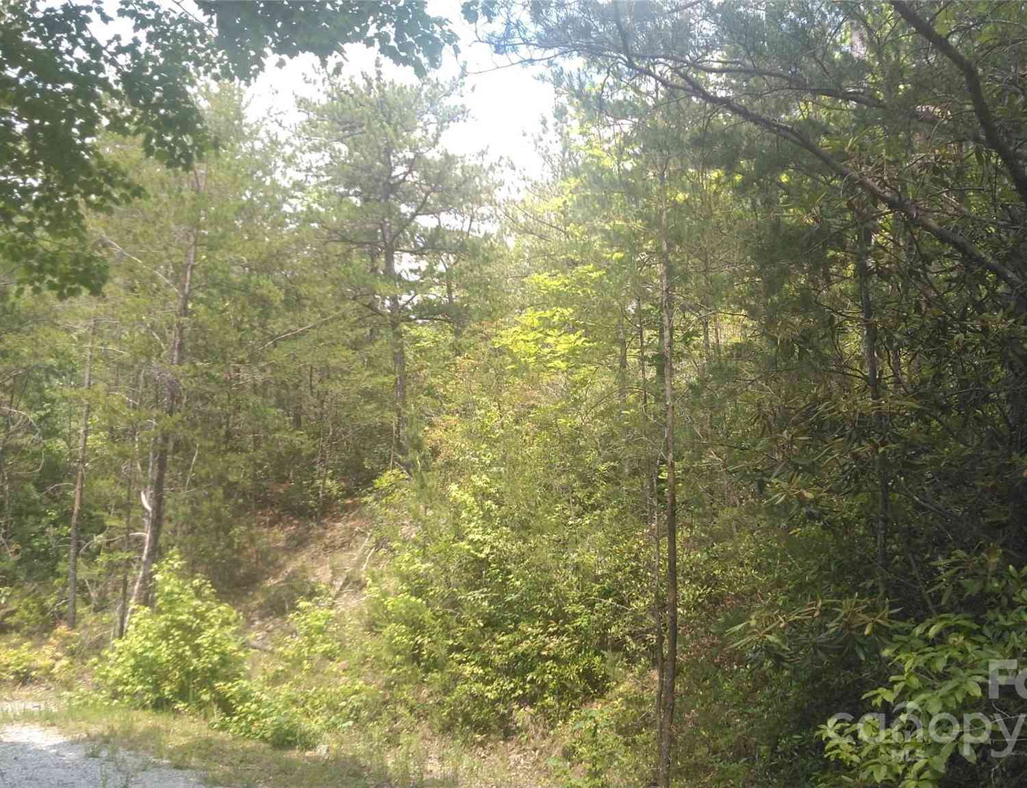 Lot 2F Seminole Path, Marion, North Carolina image 13