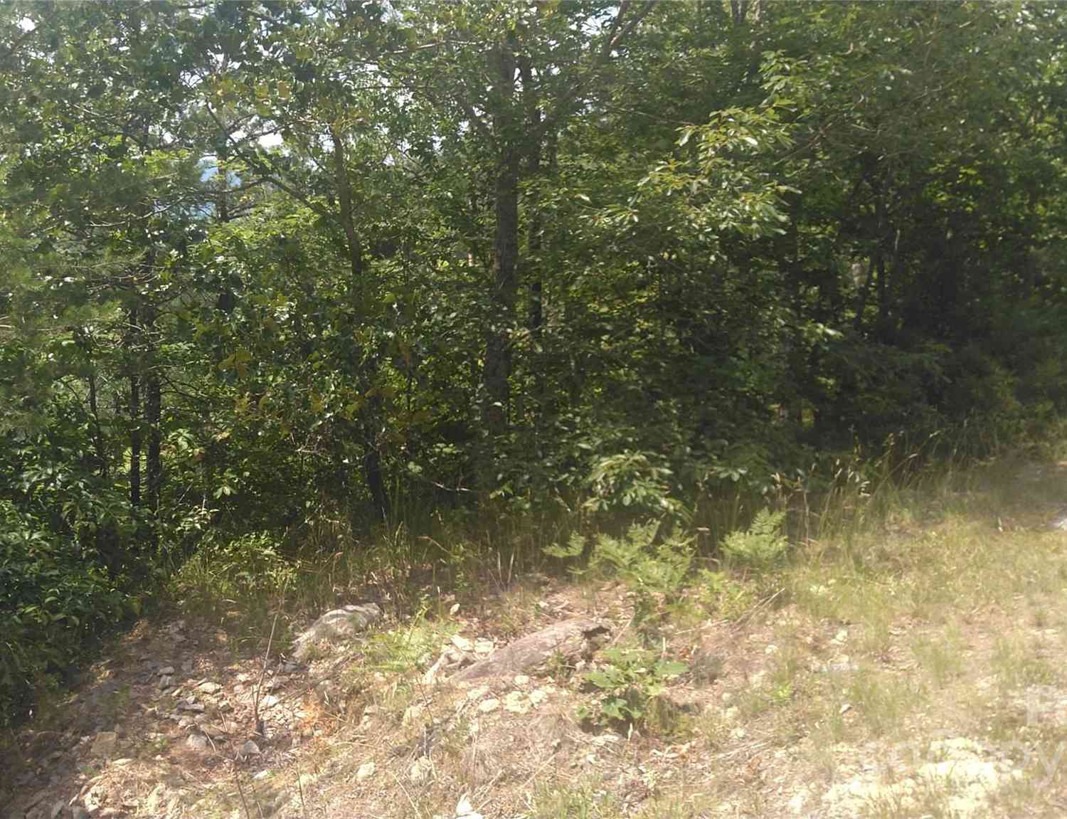 Lot 2F Seminole Path, Marion, North Carolina image 9