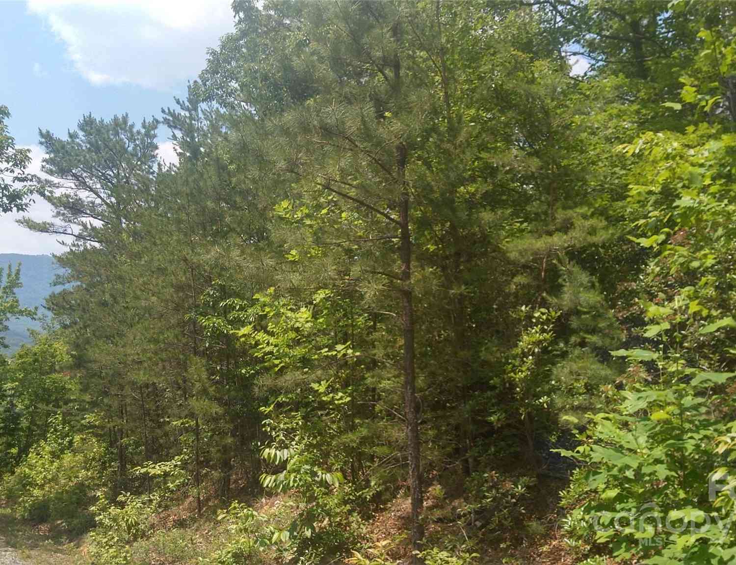 Lot 2F Seminole Path, Marion, North Carolina image 12