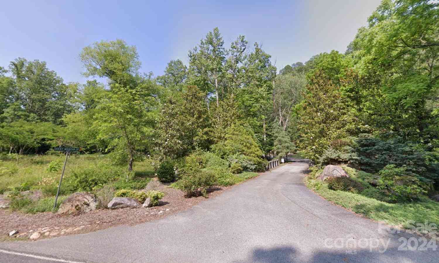 208 Southview Drive, Lake Lure, North Carolina image 3