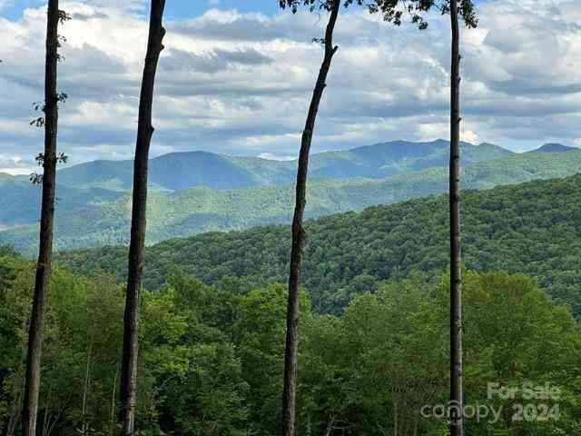 Lot 284 Running Deer Trail, Waynesville, North Carolina image 1