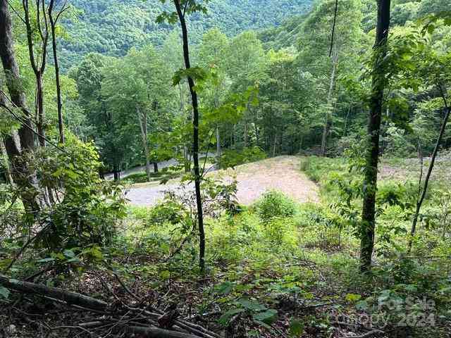 Lot 284 Running Deer Trail, Waynesville, North Carolina image 6