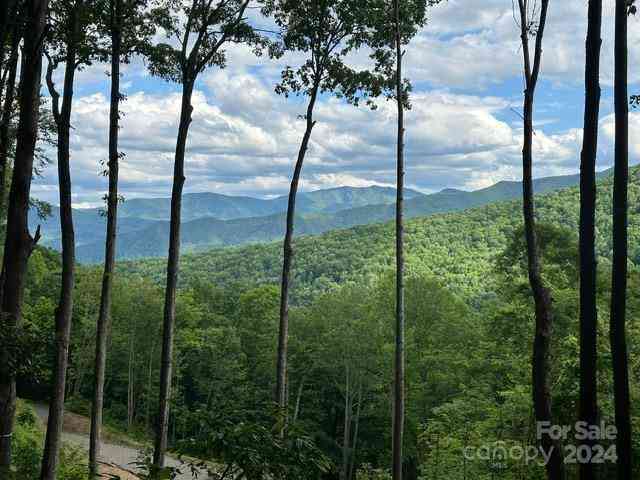 Lot 284 Running Deer Trail, Waynesville, North Carolina image 8