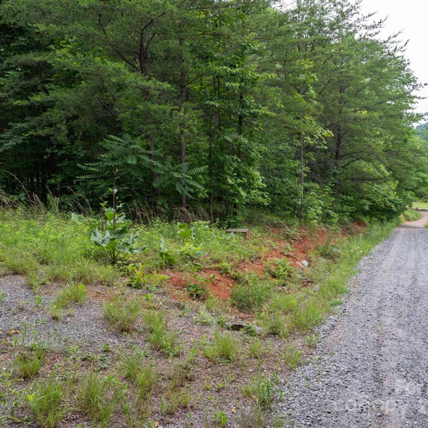 TBD Chicory Drive, Marion, North Carolina image 2