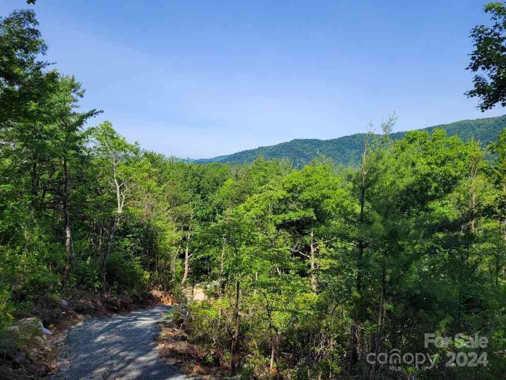 Lot 12/13B Quail Drive, Marion, North Carolina image 1