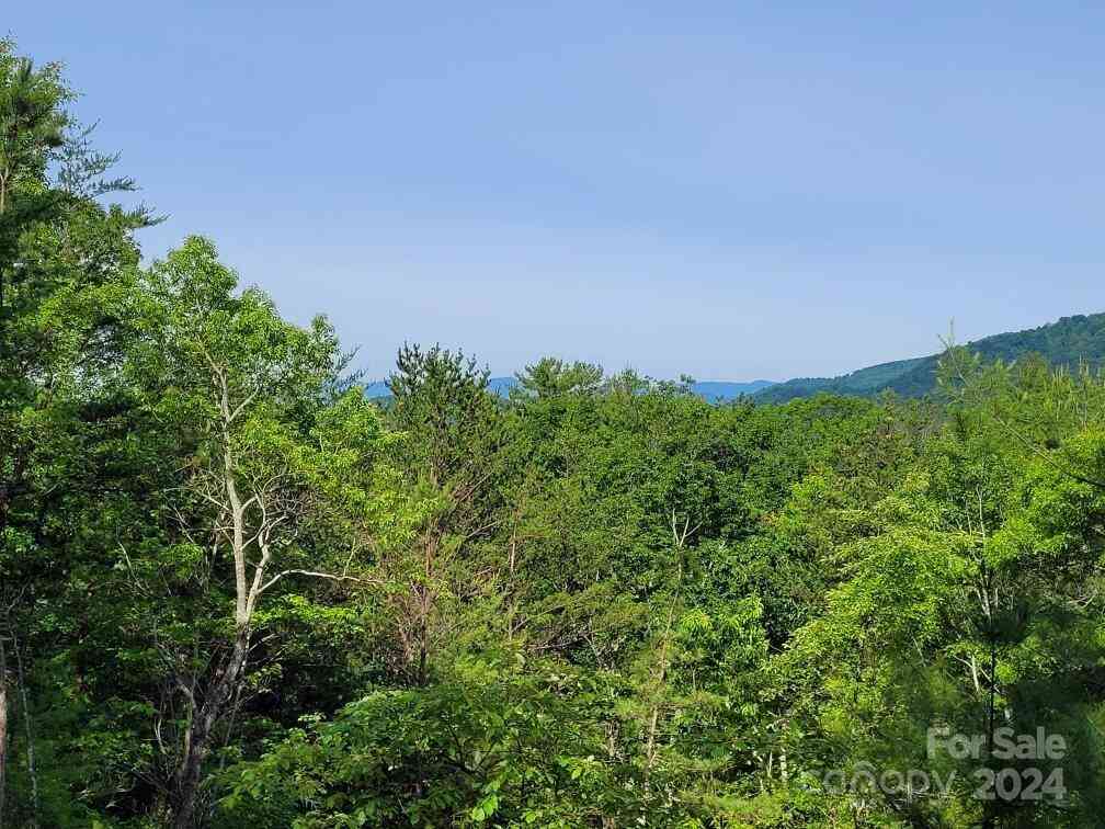 Lot 12/13B Quail Drive, Marion, North Carolina image 8